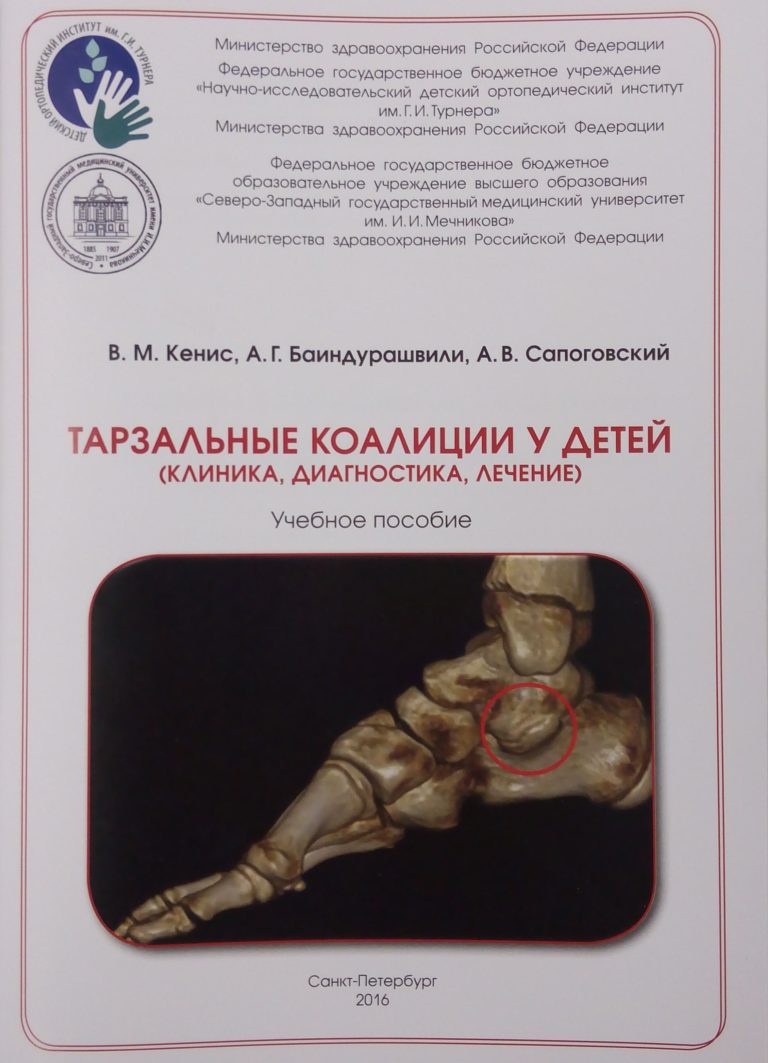 Подробнее о статье 2016 (06)