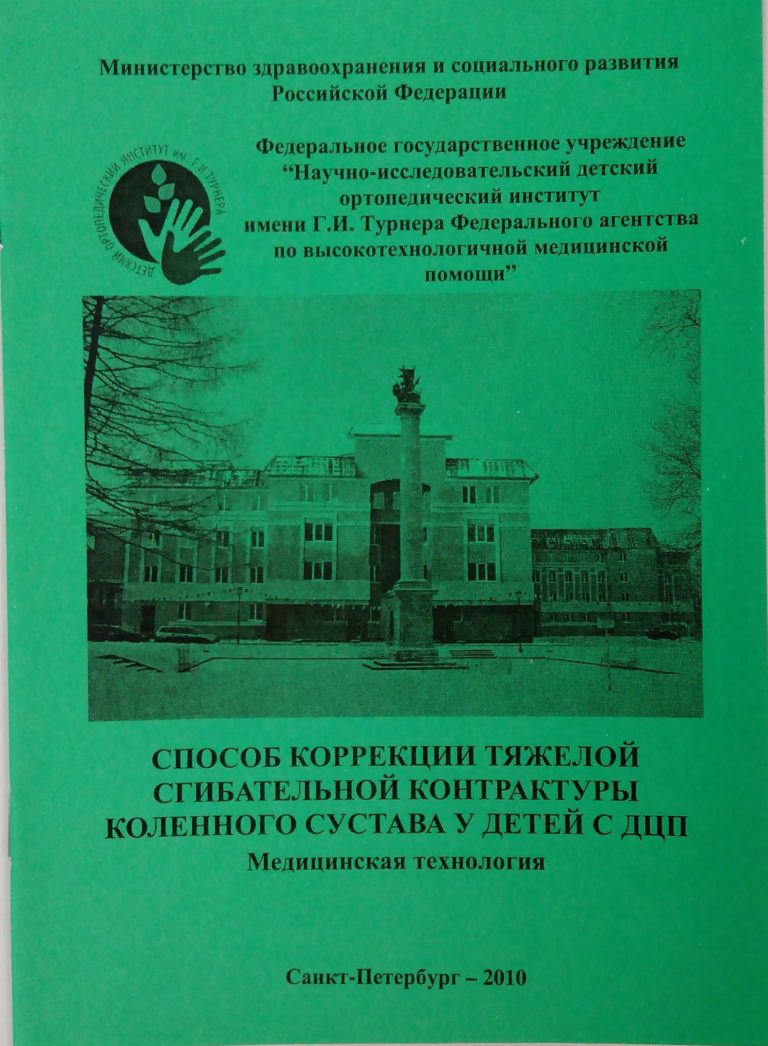 Подробнее о статье 2010 (11)