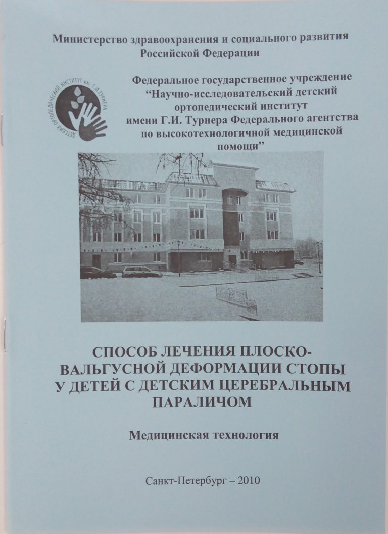 Подробнее о статье 2010 (10)