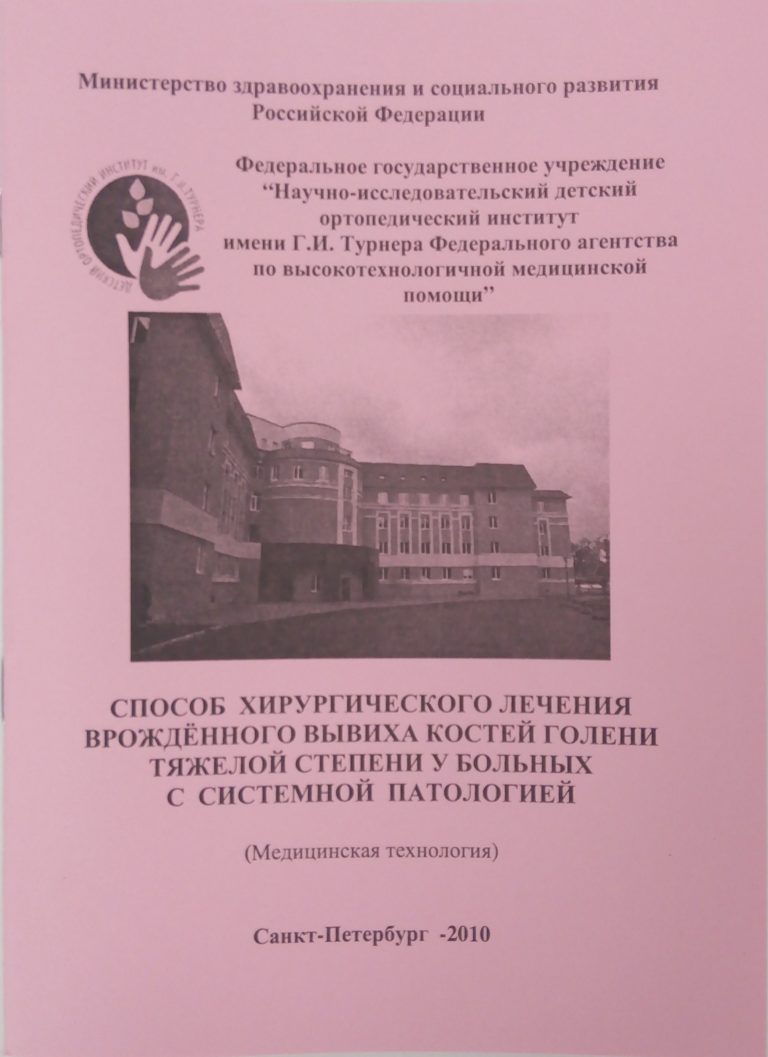 Подробнее о статье 2010 (15)