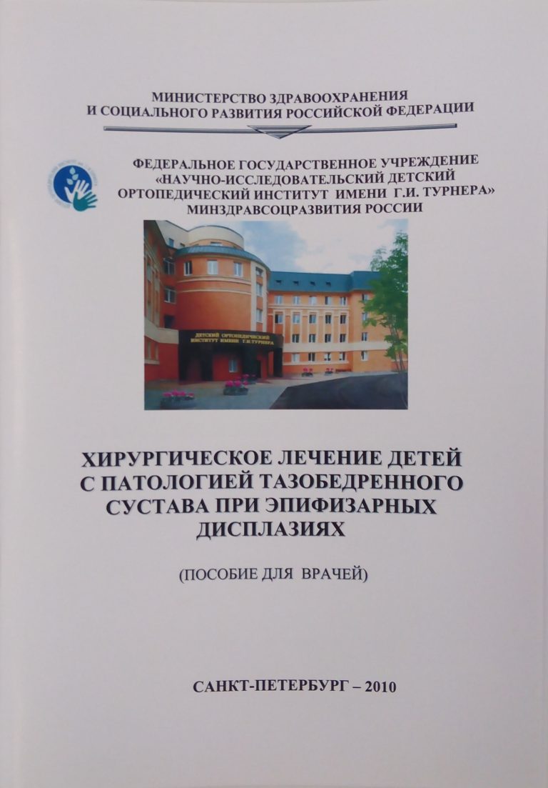 Подробнее о статье 2010 (16)