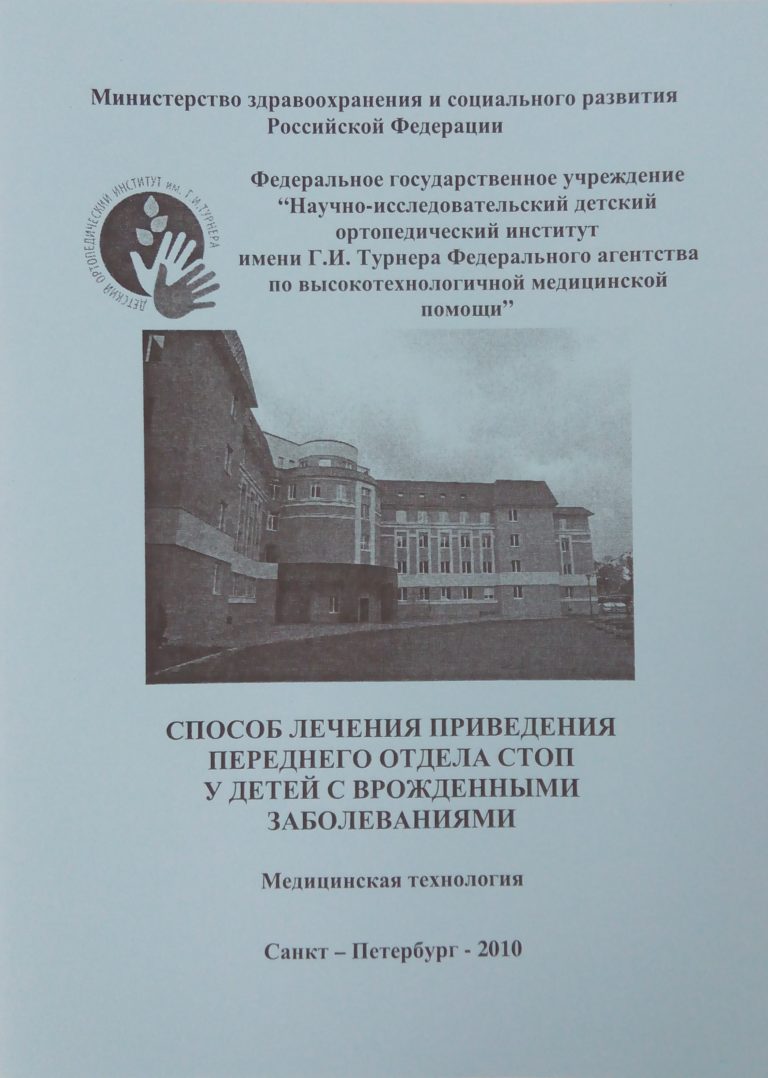 Подробнее о статье 2010 (13)