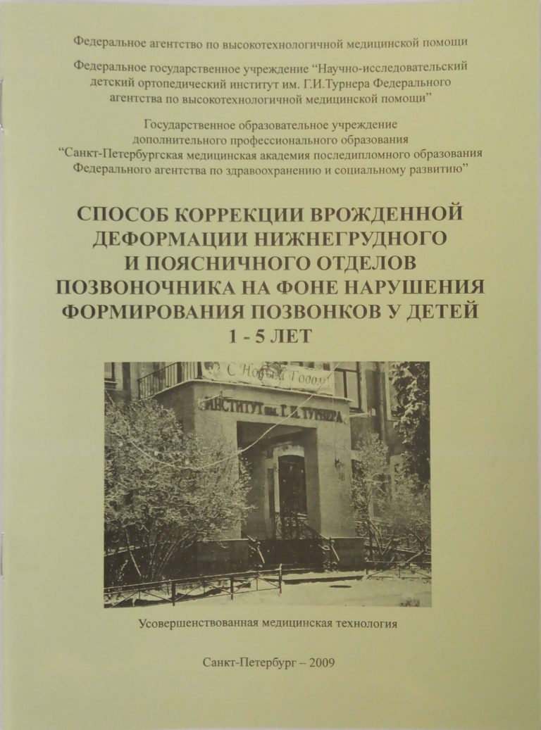 Подробнее о статье 2009 (03)